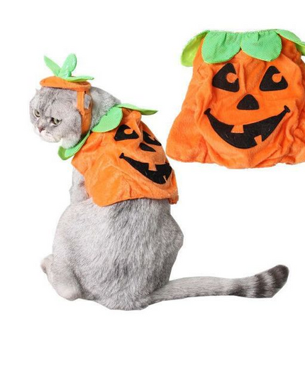 Halloween Pet Cats Costume Props Creative Pumpkin