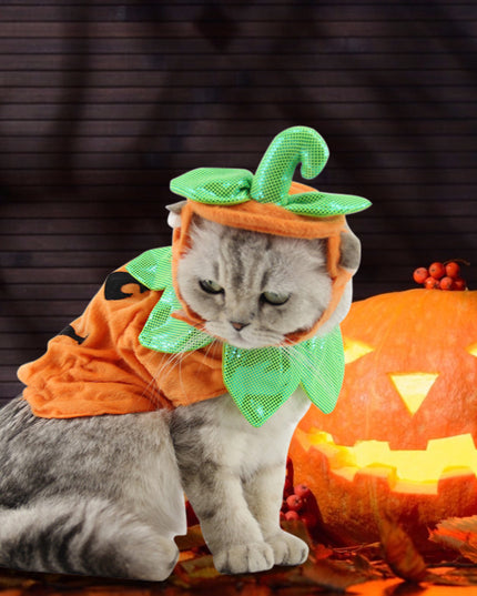 Halloween Pet Cats Costume Props Creative Pumpkin