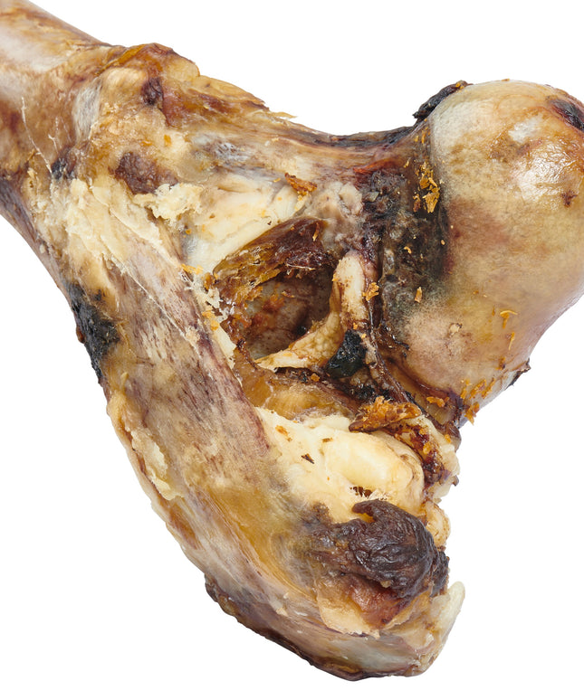 Giant Dog Bone - Grass-Fed Beef Femur Bone for Large Dogs