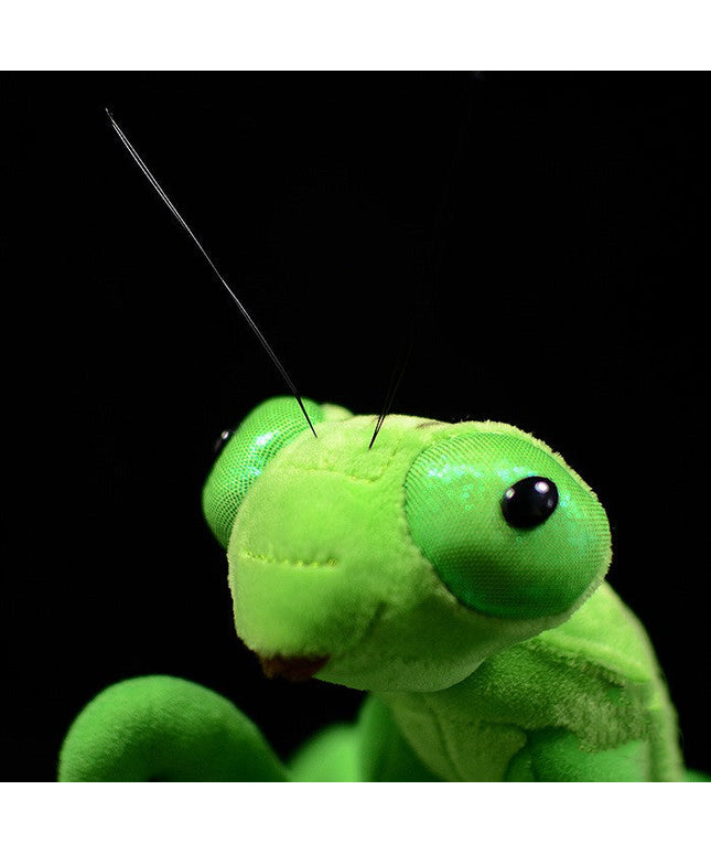 Lifelike Mantis Plush Toys Stuffed Animals Toy For Kids
