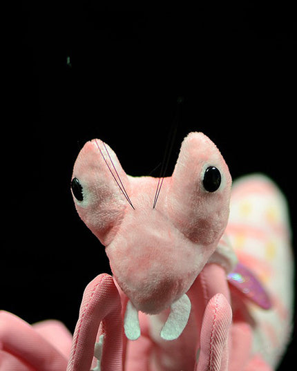 Lifelike Mantis Plush Toys Stuffed Animals Toy For Kids