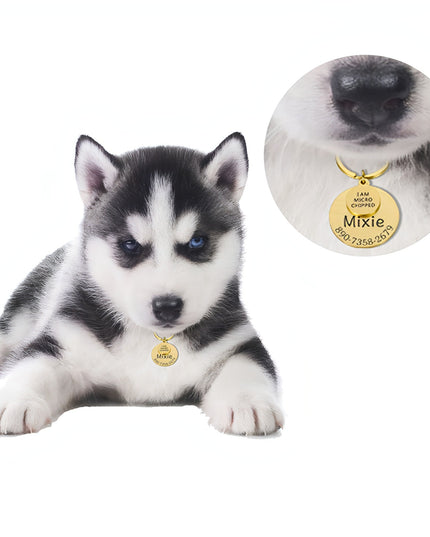 Personalized Pet ID Tag – Safe & Stylish for Dogs & Cats
