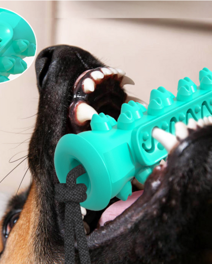 Dog Chew Toys Pet Toothbrush Rubber Bones Teeth Cleaning