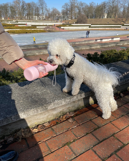 Portable Pet Food & Water Bottle