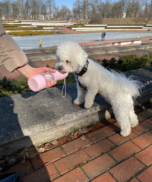 Portable Pet Food & Water Bottle