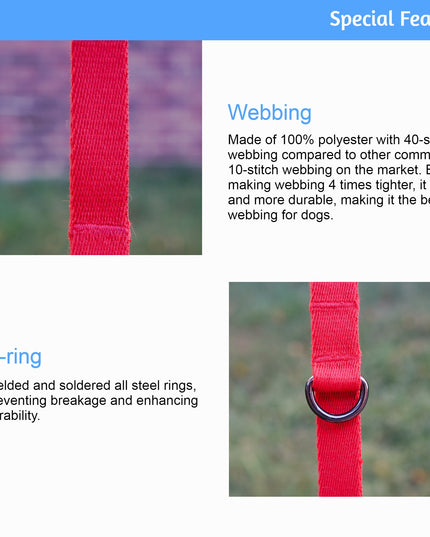 Lof Folding Lead Leash