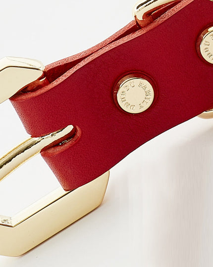 Golden Spike Red Collar