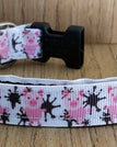 Collar and Leash Combo