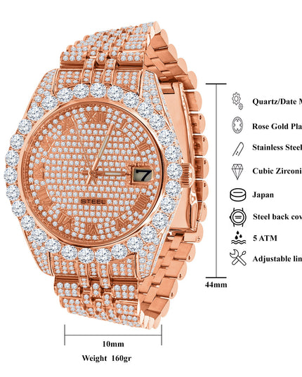 METEORITE STEEL WATCH | 530545