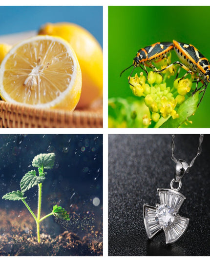 12 in 1  4K Photography Bundle