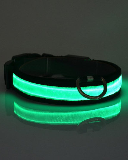LED Light Up Dog Collar