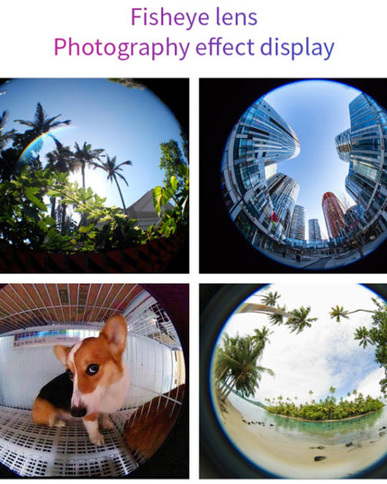 12 in 1  4K Photography Bundle