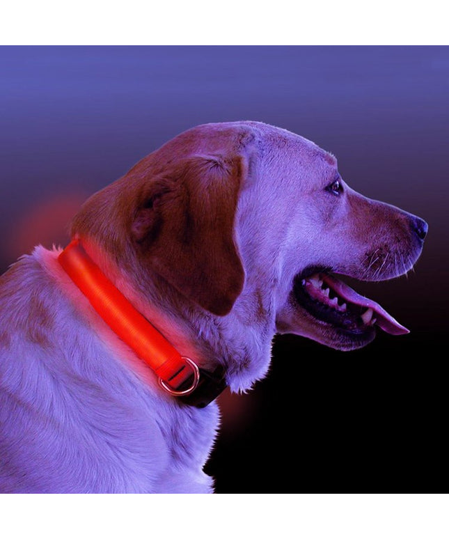 LED Light Up Dog Collar