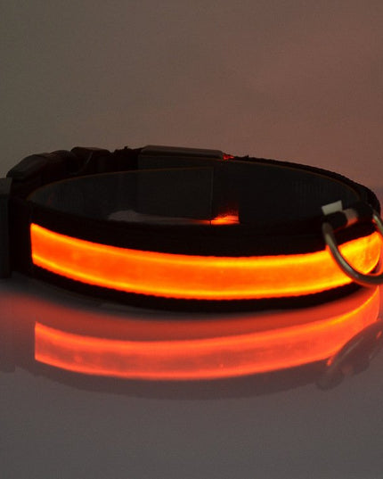 LED Light Up Dog Collar