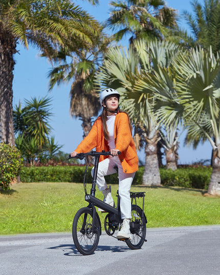 Electric Bike Xiaomi QiCycle C2 20" 250W Black