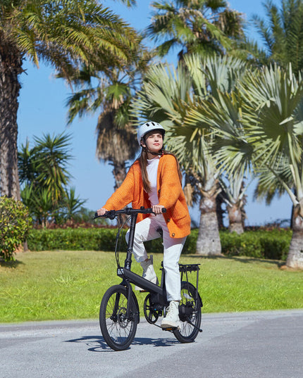 Electric Bike Xiaomi QiCycle C2 20" 250W Black