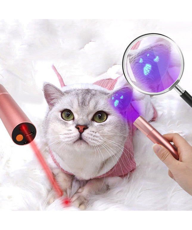 2 in 1 Cat Detection Lamp Laser Funny Cat Stick Test Pen