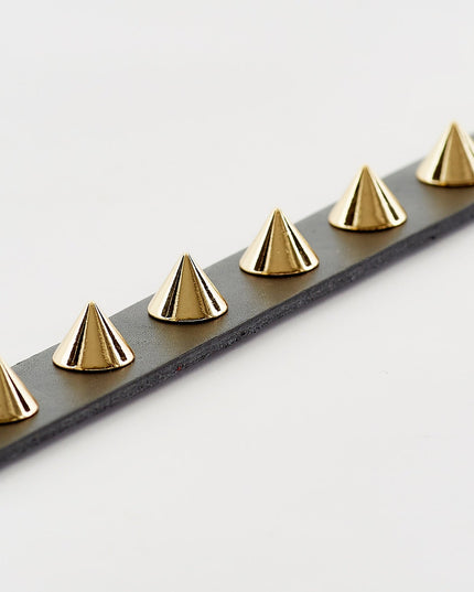 Golden Spike Black Collar