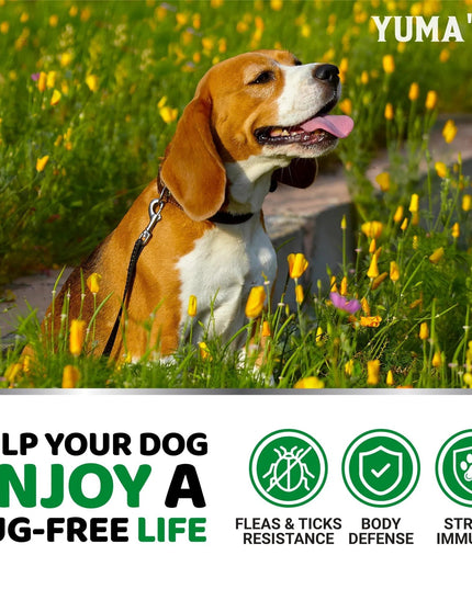 Flea And Tick Prevention For Dogs Chewables 170 Treats Natural Dog