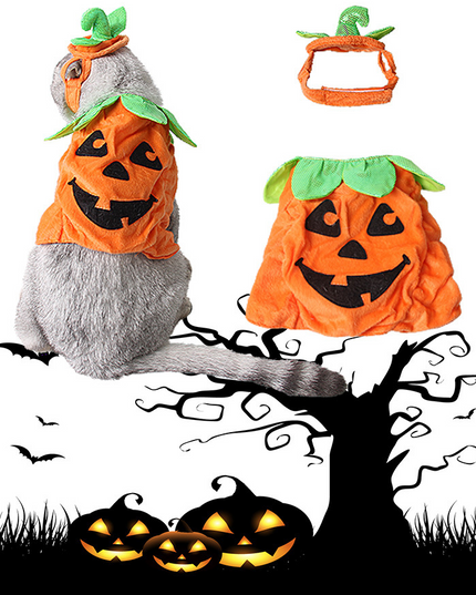 Halloween Pet Cats Costume Props Creative Pumpkin