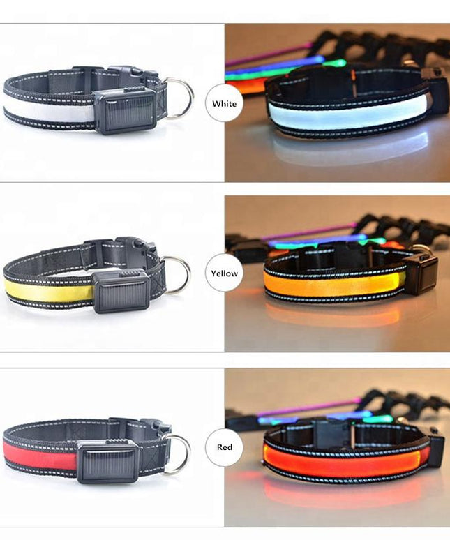 USB and Solar Charge Reflective Led Dog Collar