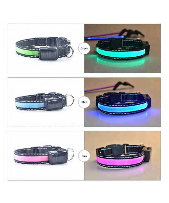 USB and Solar Charge Reflective Led Dog Collar
