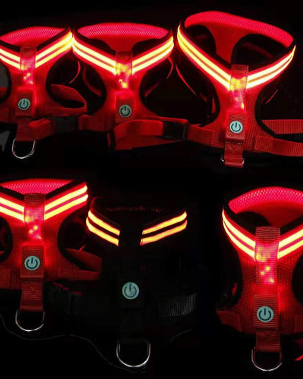 Led Dog Harness