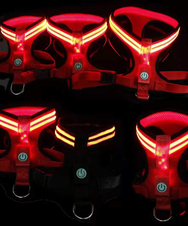 Led Dog Harness