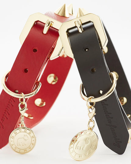 Golden Spike Black Collar