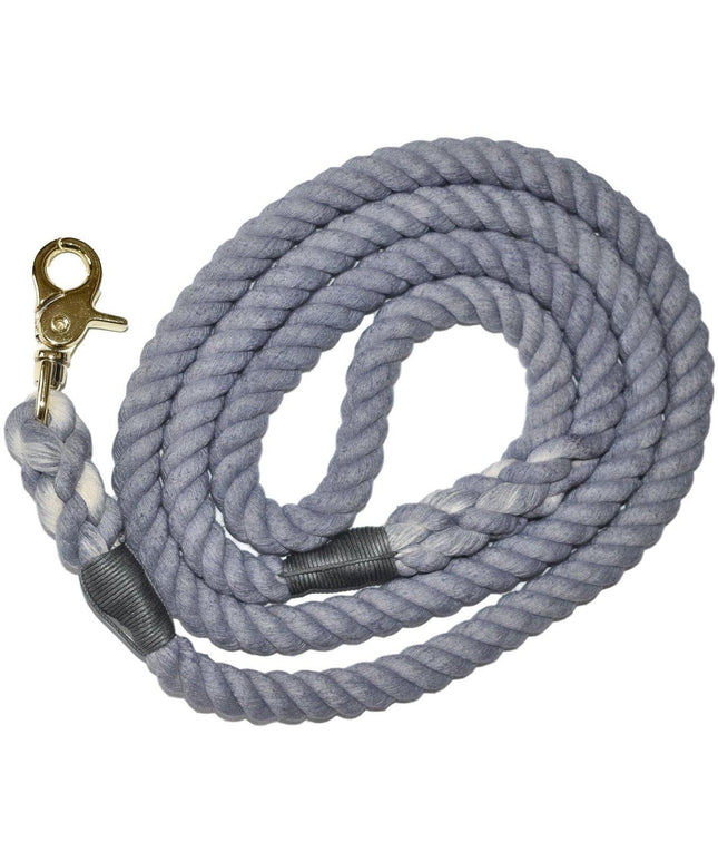 50 Dogs of Gray - Dog Leash