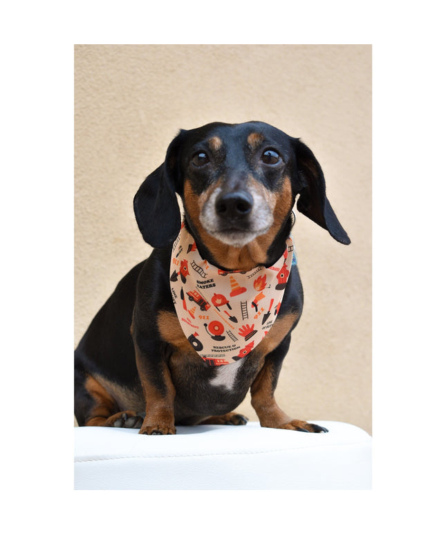 Fire Dog Bandana