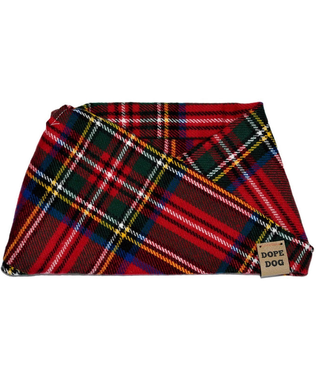 Apple Crumble - Dog Scarf