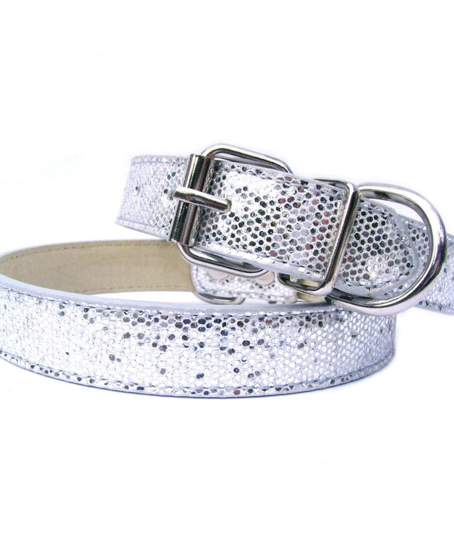 Disco Fever Dog Collar
