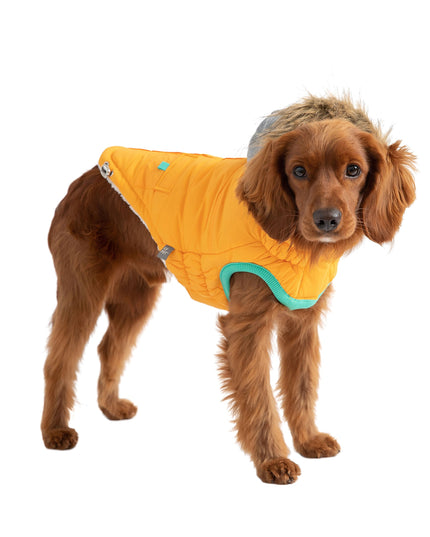 Winter Sailor Parka - Yellow