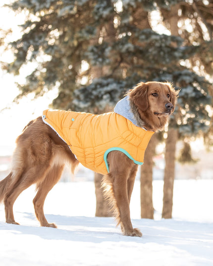 Winter Sailor Parka - Yellow