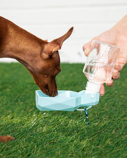 Water Bottle
