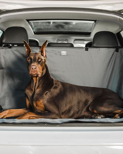 Pet Cargo Cover