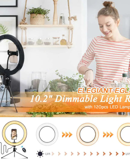 10" Table Top Selfie LED Lamp
