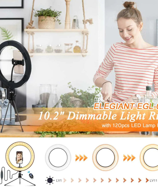 10" Table Top Selfie LED Lamp
