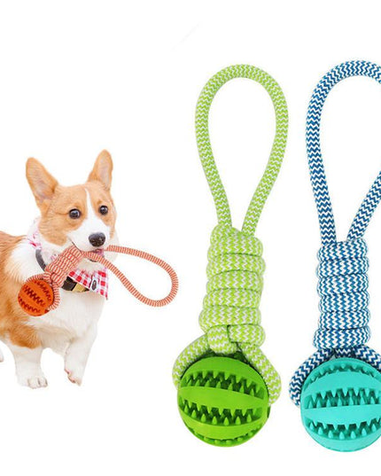 Durable Rubber Ball Chew Toy with Cotton Rope