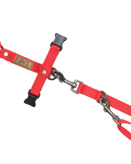 Lof Folding Lead Leash