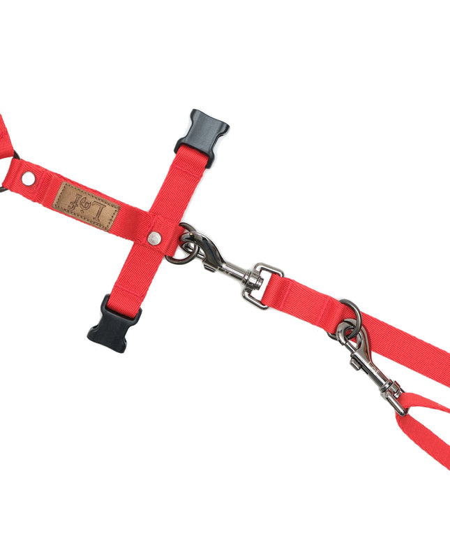 Lof Folding Lead Leash