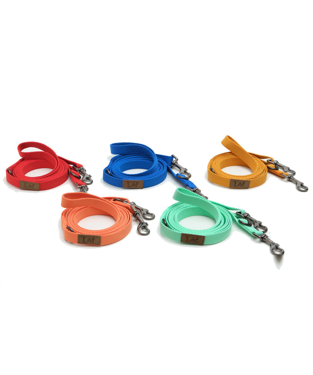 Lof Folding Lead Leash