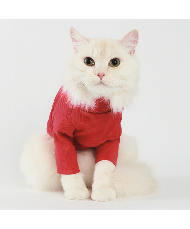 Label Turtleneck Red