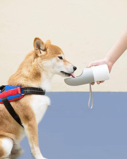 Instachew Rover Pet Travel Bottle, Dog water bottle