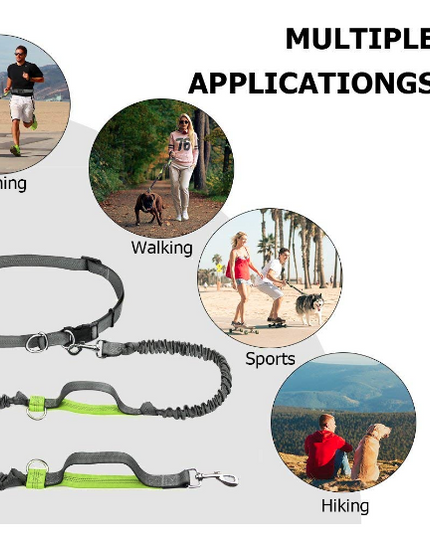 Dog Leash, Black 3 Pockets Waist Belt