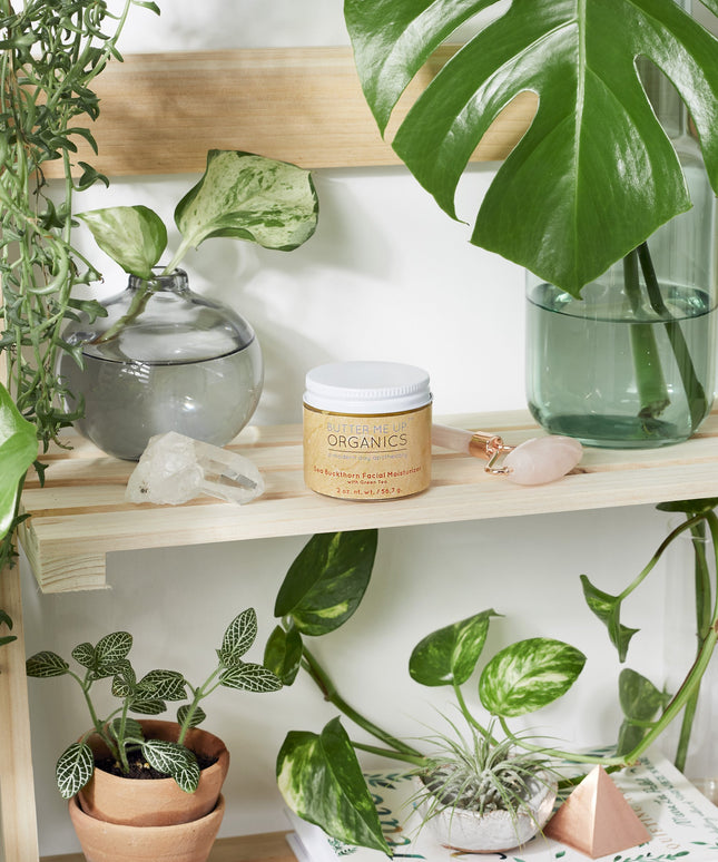 Sea Buckthorn Facial Moisturizer / Organic Face Moisturizer / Facial