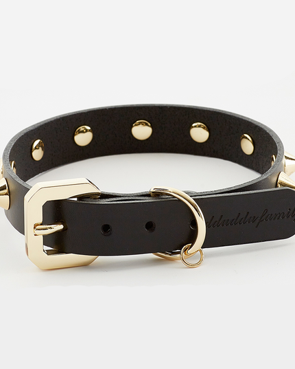 Golden Spike Black Collar