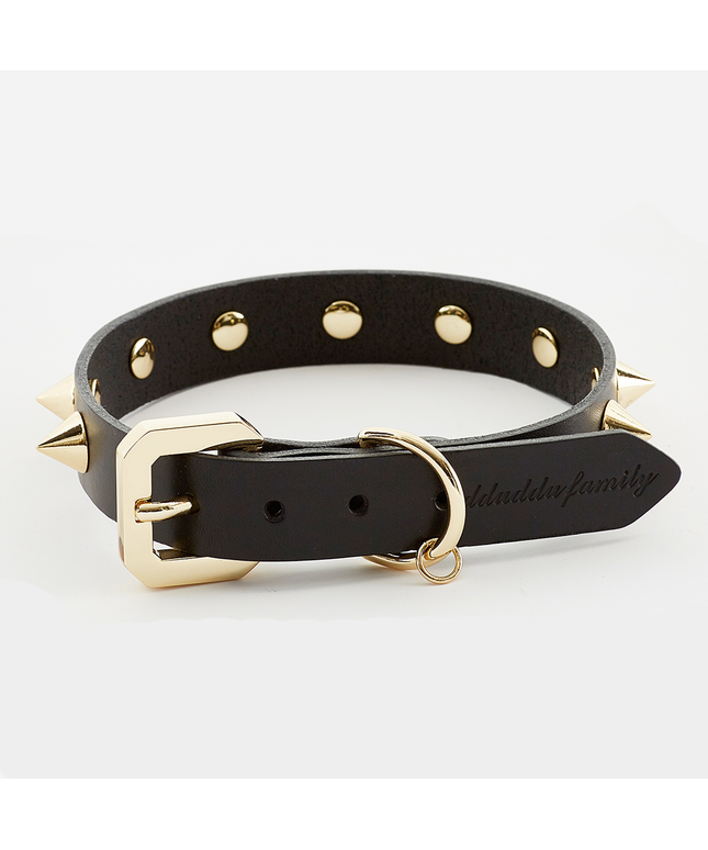 Golden Spike Black Collar