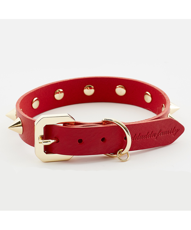 Golden Spike Red Collar